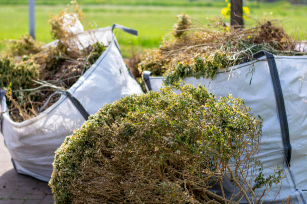 Best Office Junk Removal  in Colonial Beach, VA